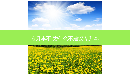 专升本不 为什么不建议专升本-第1张图片-天智网 专升本不 为什么不建议专升本-第1张图片-天智网