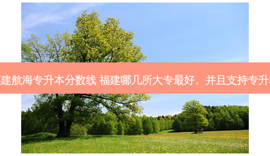 福建航海专升本分数线 福建哪几所大专 *** 好。并且支持专升本-第1张图片-天智网 福建航海专升本分数线 福建哪几所大专 *** 好。并且支持专升本-第1张图片-天智网