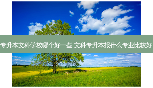 专升本文科学校哪个好一些 文科专升本报什么专业比较好-第1张图片-天智网 专升本文科学校哪个好一些 文科专升本报什么专业比较好-第1张图片-天智网