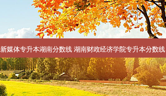 新媒体专升本湖南分数线 湖南财政经济学院专升本分数线-第1张图片-天智网 新媒体专升本湖南分数线 湖南财政经济学院专升本分数线-第1张图片-天智网