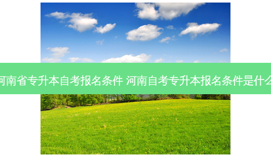 河南省专升本自考报名条件 河南自考专升本报名条件是什么-第1张图片-天智网 河南省专升本自考报名条件 河南自考专升本报名条件是什么-第1张图片-天智网
