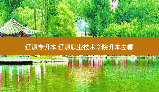 辽源专升本 辽源职业技术学院升本去哪-第1张图片-天智网 辽源专升本 辽源职业技术学院升本去哪-第1张图片-天智网