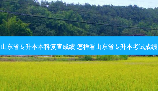 山东省专升本本科复查成绩 怎样看山东省专升本考试成绩-第1张图片-天智网 山东省专升本本科复查成绩 怎样看山东省专升本考试成绩-第1张图片-天智网