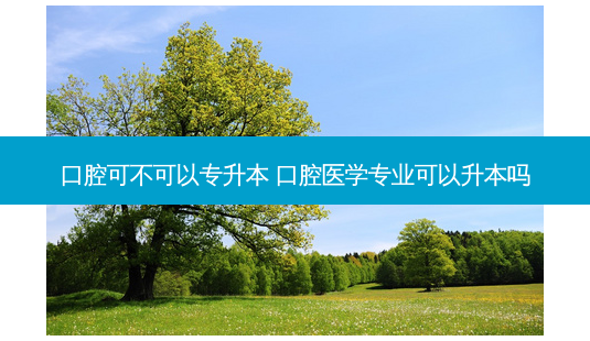 口腔可不可以专升本 口腔医学专业可以升本吗-第1张图片-天智网 口腔可不可以专升本 口腔医学专业可以升本吗-第1张图片-天智网