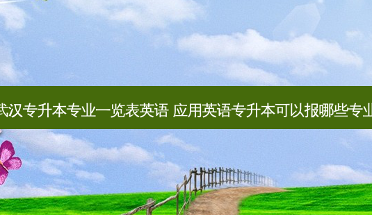 武汉专升本专业一览表英语 应用英语专升本可以报哪些专业-第1张图片-天智网 武汉专升本专业一览表英语 应用英语专升本可以报哪些专业-第1张图片-天智网