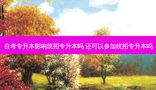 自考专升本影响统招专升本吗 还可以参加统招专升本吗-第1张图片-天智网 自考专升本影响统招专升本吗 还可以参加统招专升本吗-第1张图片-天智网