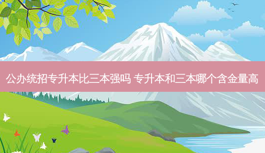 公办统招专升本比三本强吗 专升本和三本哪个含金量高-第1张图片-天智网 公办统招专升本比三本强吗 专升本和三本哪个含金量高-第1张图片-天智网