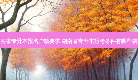 湖南省专升本报名户籍要求 湖南省专升本报考条件有哪些要求-第1张图片-天智网 湖南省专升本报名户籍要求 湖南省专升本报考条件有哪些要求-第1张图片-天智网