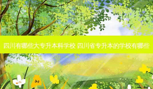 四川有哪些大专升本科学校 四川省专升本的学校有哪些-第1张图片-天智网