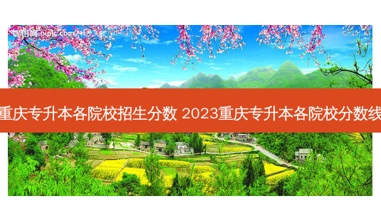 重庆专升本各院校招生分数 2023重庆专升本各院校分数线-第1张图片-天智网 重庆专升本各院校招生分数 2023重庆专升本各院校分数线-第1张图片-天智网