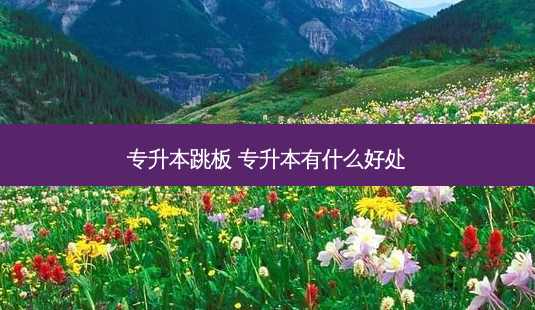 专升本跳板 专升本有什么好处-第1张图片-天智网 专升本跳板 专升本有什么好处-第1张图片-天智网