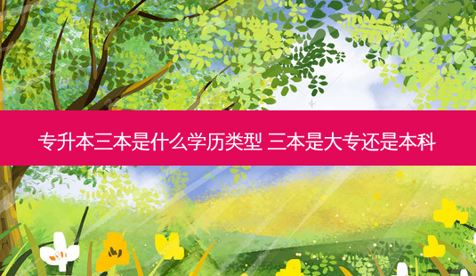 专升本三本是什么学历类型 三本是大专还是本科-第1张图片-天智网 专升本三本是什么学历类型 三本是大专还是本科-第1张图片-天智网