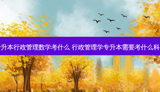 专升本行政管理数学考什么 行政管理学专升本需要考什么科目-第1张图片-天智网 专升本行政管理数学考什么 行政管理学专升本需要考什么科目-第1张图片-天智网