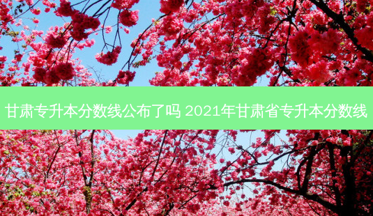 甘肃专升本分数线公布了吗 2021年甘肃省专升本分数线-第1张图片-天智网 甘肃专升本分数线公布了吗 2021年甘肃省专升本分数线-第1张图片-天智网