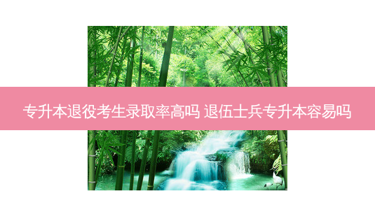 专升本退役考生录取率高吗 退伍士兵专升本容易吗-第1张图片-天智网 专升本退役考生录取率高吗 退伍士兵专升本容易吗-第1张图片-天智网