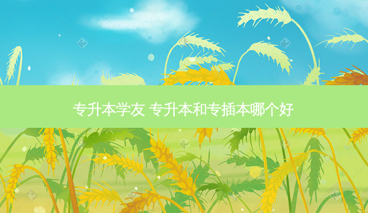 专升本学友 专升本和专插本哪个好-第1张图片-天智网 专升本学友 专升本和专插本哪个好-第1张图片-天智网