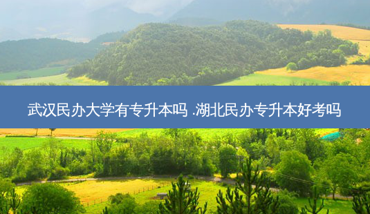 武汉民办大学有专升本吗 .湖北民办专升本好考吗-第1张图片-天智网 武汉民办大学有专升本吗 .湖北民办专升本好考吗-第1张图片-天智网
