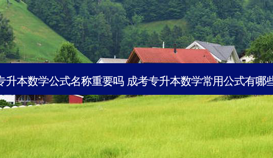专升本数学公式名称重要吗 成考专升本数学常用公式有哪些-第1张图片-天智网 专升本数学公式名称重要吗 成考专升本数学常用公式有哪些-第1张图片-天智网