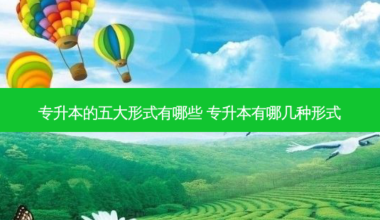 专升本的五大形式有哪些 专升本有哪几种形式-第1张图片-天智网 专升本的五大形式有哪些 专升本有哪几种形式-第1张图片-天智网