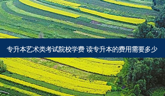 专升本艺术类考试院校学费 读专升本的费用需要多少-第1张图片-天智网 专升本艺术类考试院校学费 读专升本的费用需要多少-第1张图片-天智网