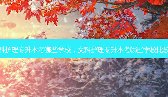 文科护理专升本考哪些学校,文科护理专升本考哪些学校比较好-第1张图片-天智网 文科护理专升本考哪些学校,文科护理专升本考哪些学校比较好-第1张图片-天智网