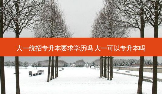 大一统招专升本要求学历吗 大一可以专升本吗-第1张图片-天智网 大一统招专升本要求学历吗 大一可以专升本吗-第1张图片-天智网