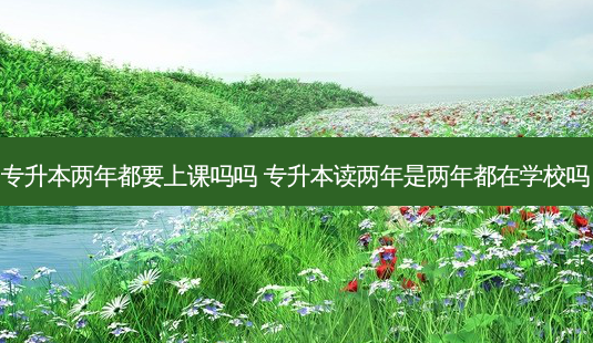 专升本两年都要上课吗吗 专升本读两年是两年都在学校吗-第1张图片-天智网 专升本两年都要上课吗吗 专升本读两年是两年都在学校吗-第1张图片-天智网