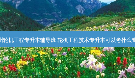 福州轮机工程专升本辅导班 轮机工程技术专升本可以考什么专业-第1张图片-天智网 福州轮机工程专升本辅导班 轮机工程技术专升本可以考什么专业-第1张图片-天智网