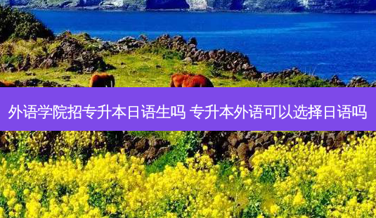 外语学院招专升本日语生吗 专升本外语可以选择日语吗-第1张图片-天智网 外语学院招专升本日语生吗 专升本外语可以选择日语吗-第1张图片-天智网