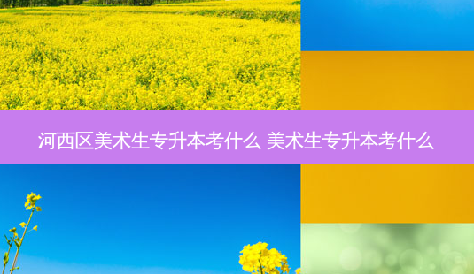 河西区美术生专升本考什么 美术生专升本考什么-第1张图片-天智网 河西区美术生专升本考什么 美术生专升本考什么-第1张图片-天智网