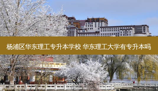 杨浦区华东理工专升本学校 华东理工大学有专升本吗-第1张图片-天智网 杨浦区华东理工专升本学校 华东理工大学有专升本吗-第1张图片-天智网