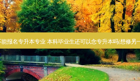 本科能不能报名专升本专业 本科毕业生还可以念专升本吗(想修另一个专业)-第1张图片-天智网 本科能不能报名专升本专业 本科毕业生还可以念专升本吗(想修另一个专业)-第1张图片-天智网