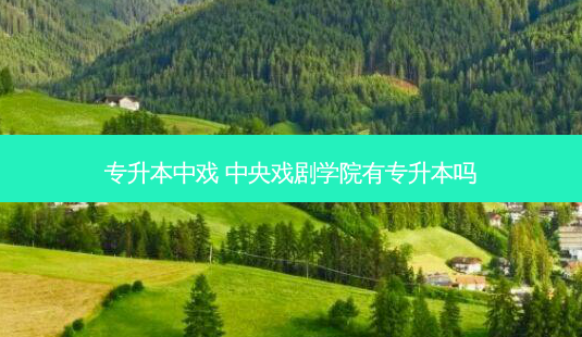 专升本中戏 中央戏剧学院有专升本吗-第1张图片-天智网 专升本中戏 中央戏剧学院有专升本吗-第1张图片-天智网