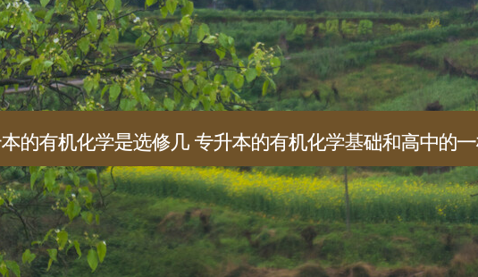 专升本的有机化学是选修几 专升本的有机化学基础和高中的一样吗-第1张图片-天智网 专升本的有机化学是选修几 专升本的有机化学基础和高中的一样吗-第1张图片-天智网