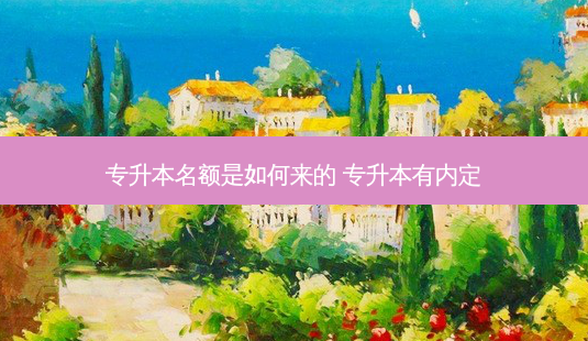 专升本名额是如何来的 专升本有内定-第1张图片-天智网 专升本名额是如何来的 专升本有内定-第1张图片-天智网