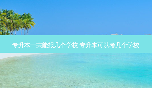 专升本一共能报几个学校 专升本可以考几个学校-第1张图片-天智网 专升本一共能报几个学校 专升本可以考几个学校-第1张图片-天智网