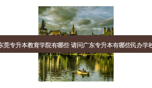 东莞专升本教育学院有哪些 请问广东专升本有哪些民办学校-第1张图片-天智网 东莞专升本教育学院有哪些 请问广东专升本有哪些民办学校-第1张图片-天智网