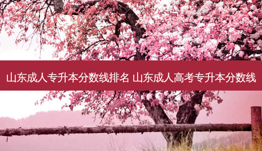 山东成人专升本分数线排名 山东成人高考专升本分数线-第1张图片-天智网 山东成人专升本分数线排名 山东成人高考专升本分数线-第1张图片-天智网
