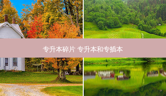 专升本碎片 专升本和专插本-第1张图片-天智网 专升本碎片 专升本和专插本-第1张图片-天智网