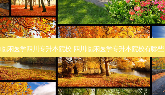 临床医学四川专升本院校 四川临床医学专升本院校有哪些-第1张图片-天智网 临床医学四川专升本院校 四川临床医学专升本院校有哪些-第1张图片-天智网