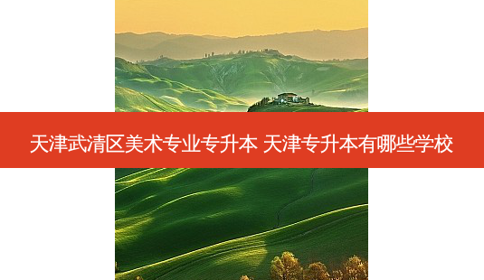 天津武清区美术专业专升本 天津专升本有哪些学校-第1张图片-天智网 天津武清区美术专业专升本 天津专升本有哪些学校-第1张图片-天智网