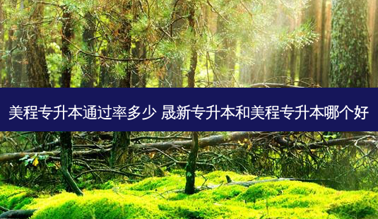 美程专升本通过率多少 晟新专升本和美程专升本哪个好-第1张图片-天智网 美程专升本通过率多少 晟新专升本和美程专升本哪个好-第1张图片-天智网