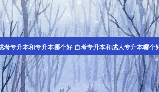 成考专升本和专升本哪个好 自考专升本和成人专升本哪个好-第1张图片-天智网 成考专升本和专升本哪个好 自考专升本和成人专升本哪个好-第1张图片-天智网