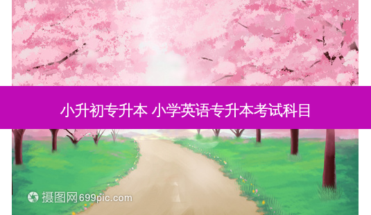 小升初专升本 小学英语专升本考试科目-第1张图片-天智网 小升初专升本 小学英语专升本考试科目-第1张图片-天智网