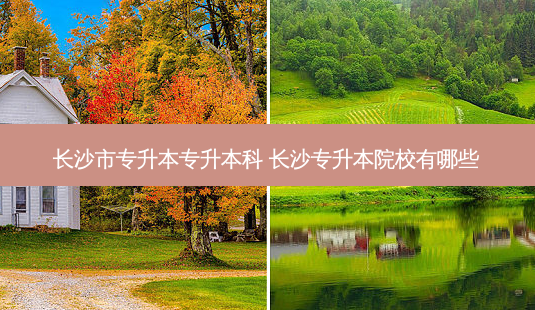 长沙市专升本专升本科 长沙专升本院校有哪些-第1张图片-天智网 长沙市专升本专升本科 长沙专升本院校有哪些-第1张图片-天智网