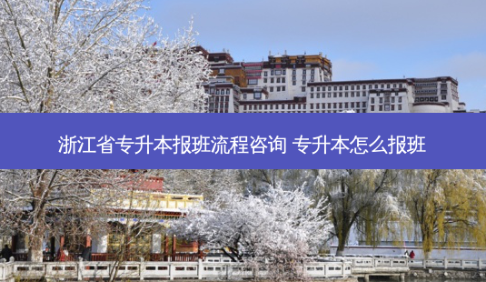 浙江省专升本报班流程咨询 专升本怎么报班-第1张图片-天智网 浙江省专升本报班流程咨询 专升本怎么报班-第1张图片-天智网