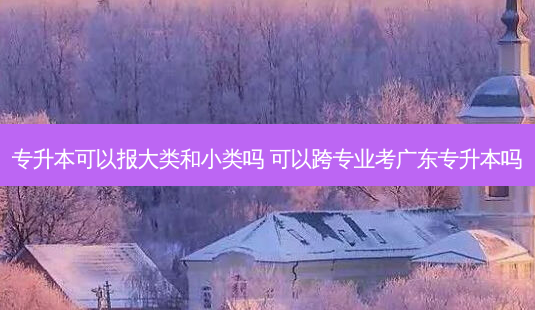 专升本可以报大类和小类吗 可以跨专业考广东专升本吗-第1张图片-天智网 专升本可以报大类和小类吗 可以跨专业考广东专升本吗-第1张图片-天智网