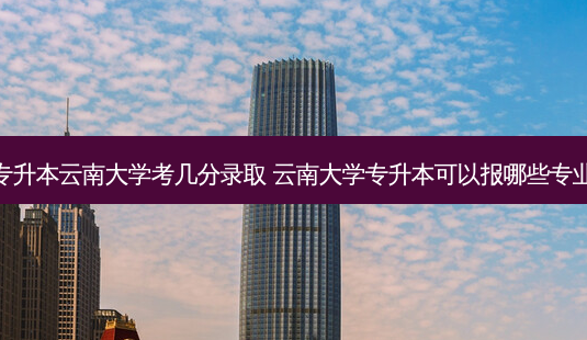 专升本云南大学考几分录取 云南大学专升本可以报哪些专业-第1张图片-天智网 专升本云南大学考几分录取 云南大学专升本可以报哪些专业-第1张图片-天智网