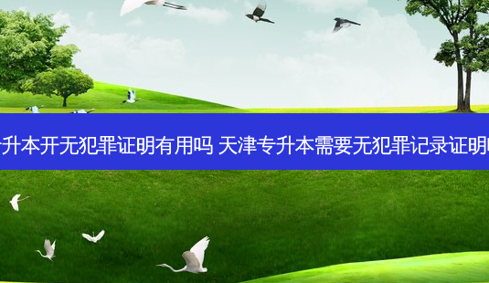 专升本开无犯罪证明有用吗 天津专升本需要无犯罪记录证明吗-第1张图片-天智网 专升本开无犯罪证明有用吗 天津专升本需要无犯罪记录证明吗-第1张图片-天智网