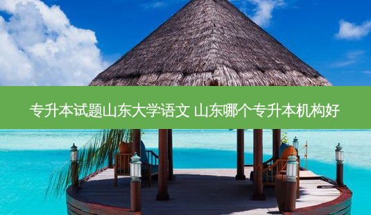 专升本试题山东大学语文 山东哪个专升本机构好-第1张图片-天智网 专升本试题山东大学语文 山东哪个专升本机构好-第1张图片-天智网